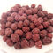Очень вкусным популярным пурпурным ОЭМ арахиса закуски арахиса сладкого картофеля покрытый вкусом здоровый покрытый КОШЕРНЫЙ