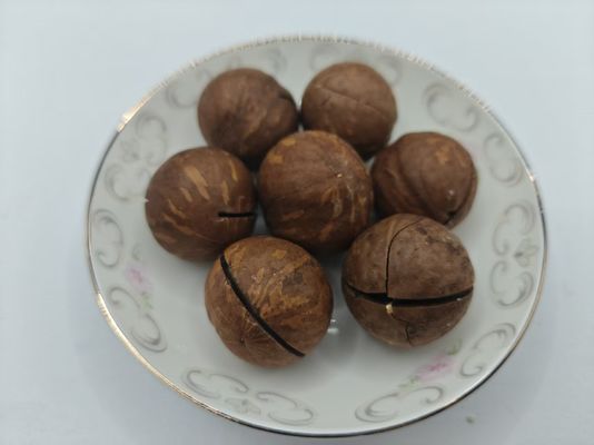 Орехи макадамии