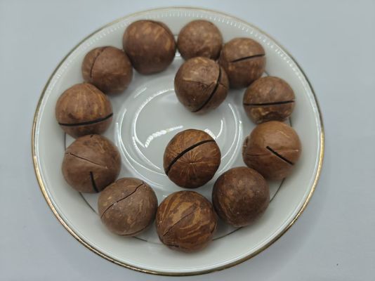 Вкусные натуральные орехи макадамии из пластиковых пакетов
