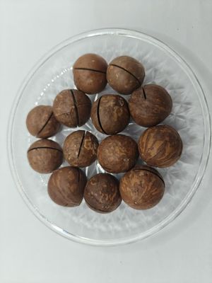 Вкусные натуральные орехи макадамии из пластиковых пакетов
