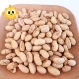 Кошер Халал Сертифицированный Покрытый Жареный Пикантный Желтый Эдамаме Соевые Бобы Снаки ISO одобренные