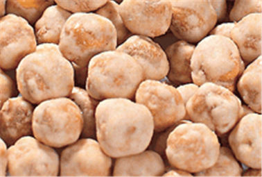 Покрытая чесноком зажаренная в духовке закуска нутов, продукты хрустящих хрустящих нутов кошерные