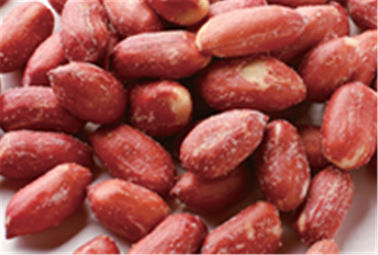 Вкус покрытый конфетой арахисов пива чокнутой большой красной стерженя различный ХАЛЯЛЬНОЕ Сертифяктион